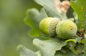 Oaktree raises $2.4bn for fourth special situations fund