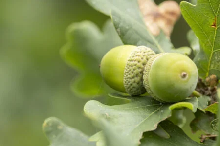 Oaktree raises $2.4bn for fourth special situations fund