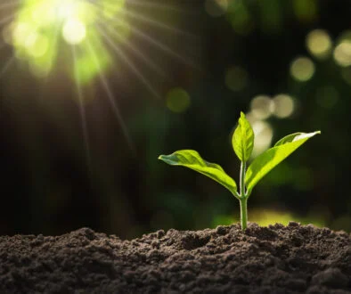 Treville secures $500m for debut capital solutions fund