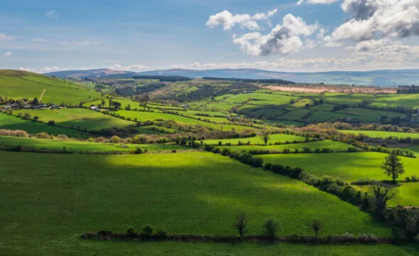 Pollen Street backs Irish SME lender with €100m facility