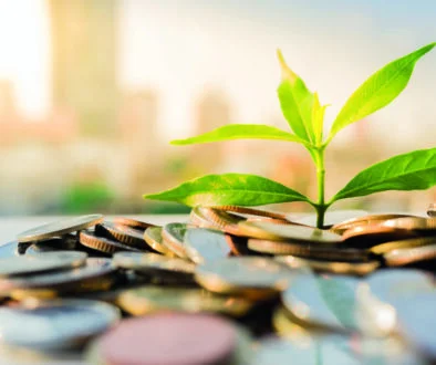 Semi-liquid structures: the double-edged sword