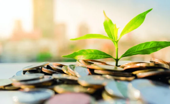 Semi-liquid structures: the double-edged sword