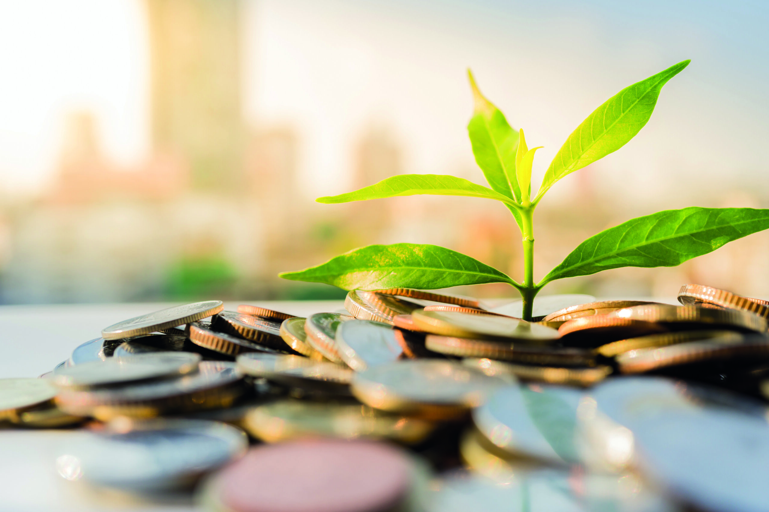 Semi-liquid structures: the double-edged sword