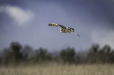 Blue Owl tops $2.9bn for asset-based special opps fund