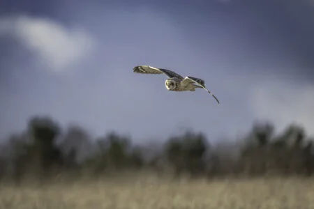 Blue Owl tops $2.9bn for asset-based special opps fund