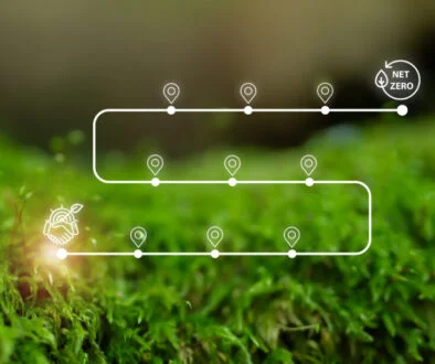 UK government urged to support private capital’s contribution to net zero transition