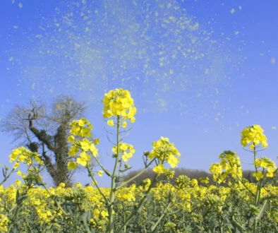 Pollen Street raises £2.5bn for ABL fund