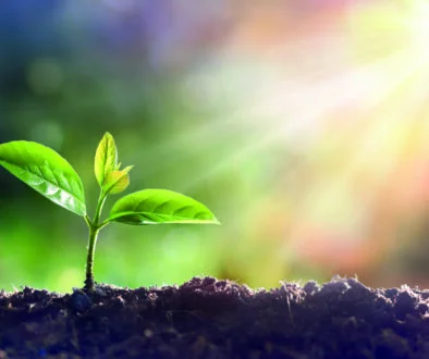 SRT market boom set for five more years of solid growth