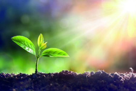 SRT market boom set for five more years of solid growth