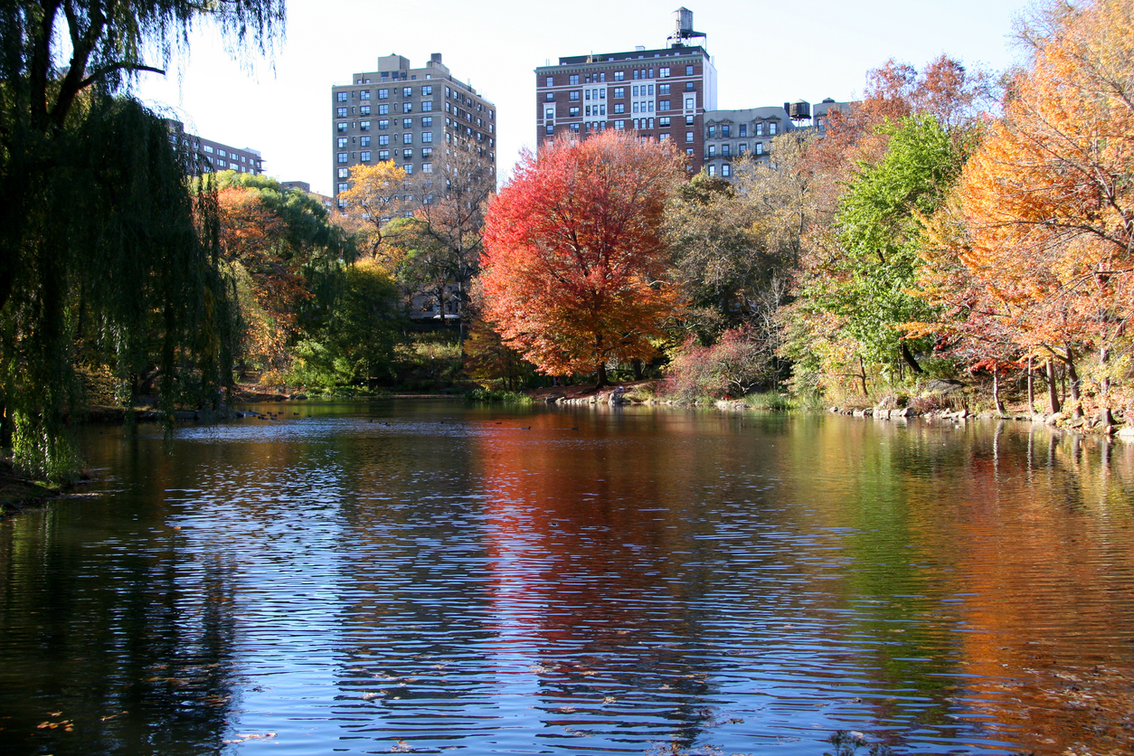 Napier Park Global Capital prices €458m CLO