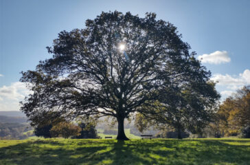 Oaktree secures Pantheon backing for European direct lending expansion