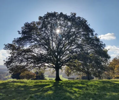 Oaktree secures Pantheon backing for European direct lending expansion