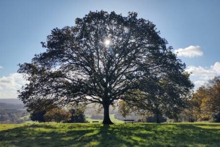 Oaktree secures Pantheon backing for European direct lending expansion