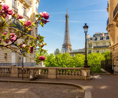 Tikehau hires head of France as it expands presence in region