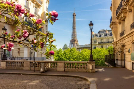 Tikehau hires head of France as it expands presence in region