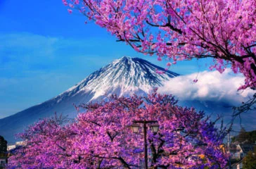 Japan in midst of ‘multi-decade’ move to private markets