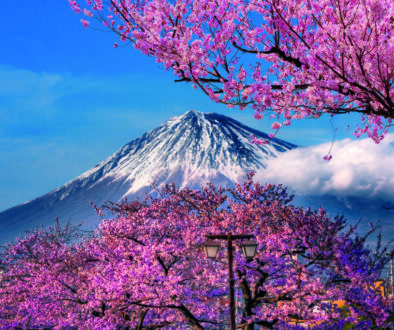 Japan in midst of ‘multi-decade’ move to private markets