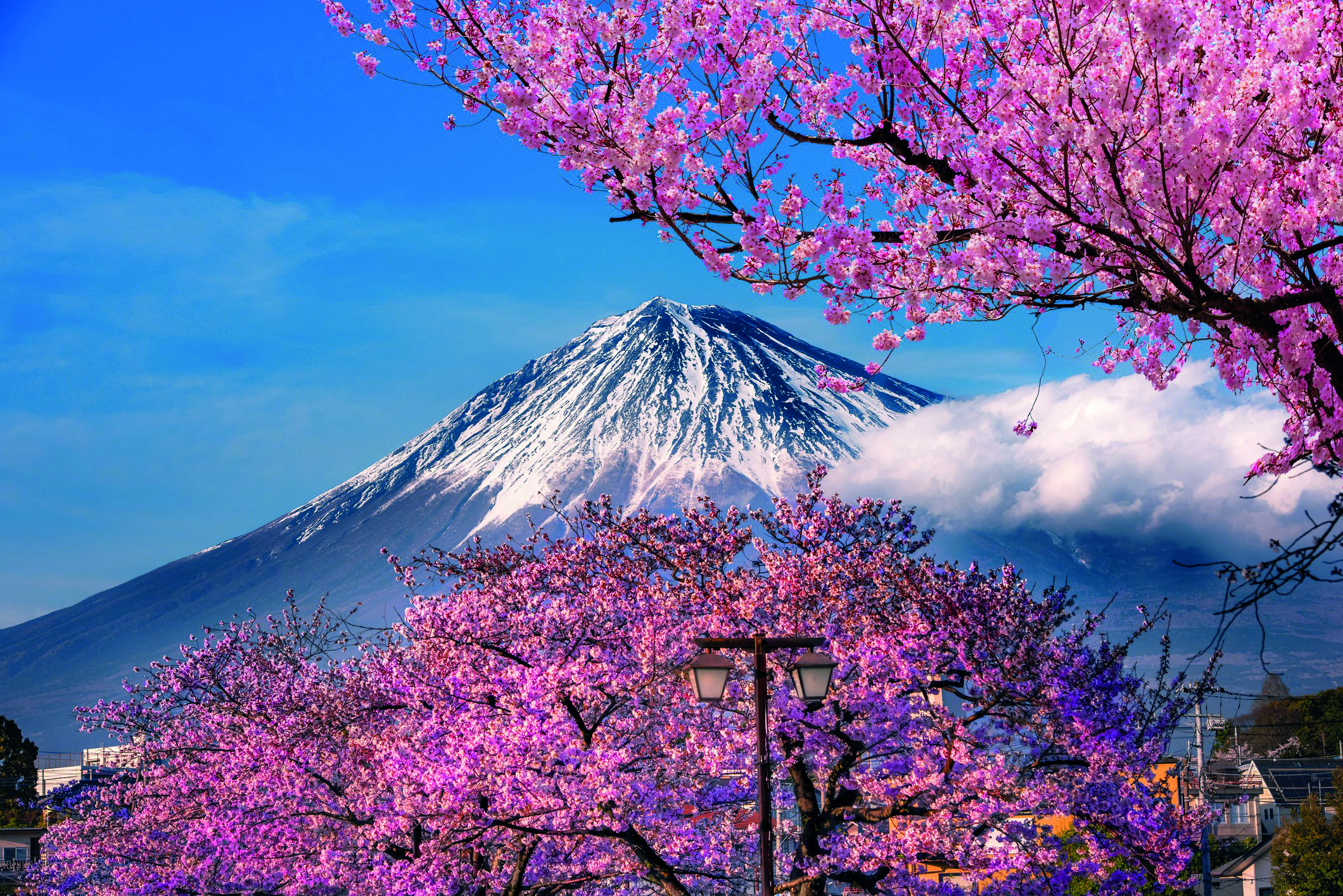 Japan in midst of ‘multi-decade’ move to private markets