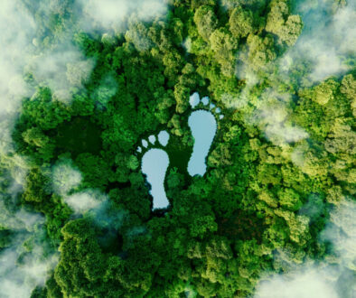 Triodos IM appoints fund manager of Hivos-Triodos Fonds