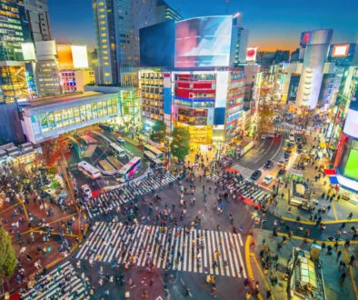 Blackstone lands ¥1.5tn private credit mandate from Nippon Life