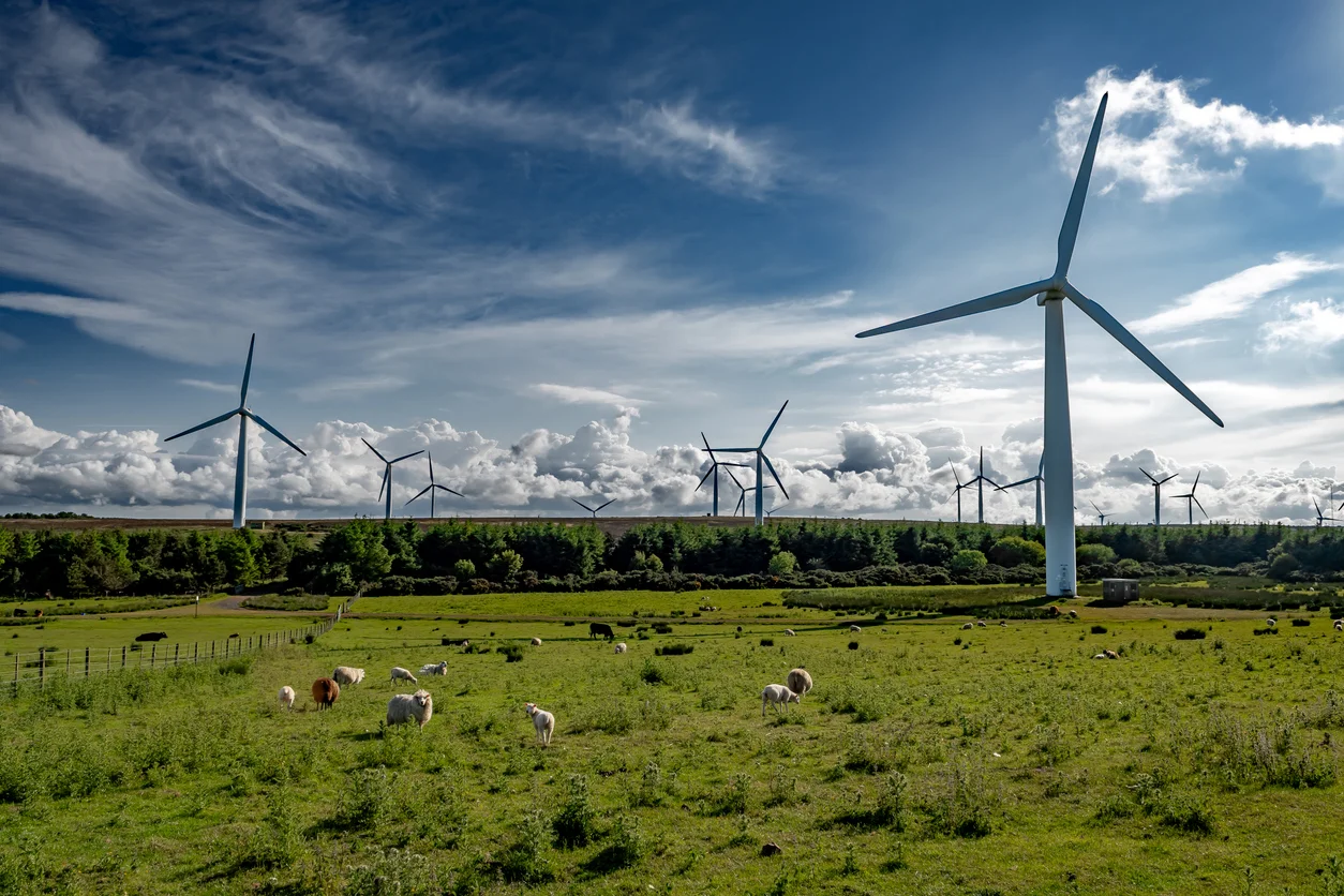 Nest invests £200m in climate-focused infra debt