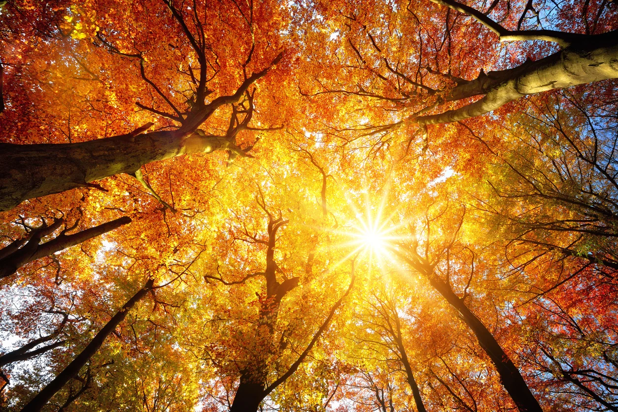GoldenTree raises $2.75bn for second private credit fund