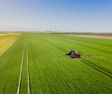 Homestead closes first agriculture private credit fund with 'significant commitments'