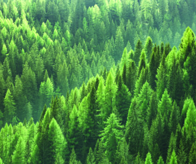 Bridgepoint rolls out evergreen vehicle for institutional investors