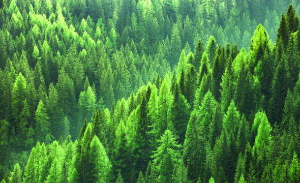 Bridgepoint rolls out evergreen vehicle for institutional investors