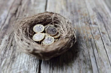 nest