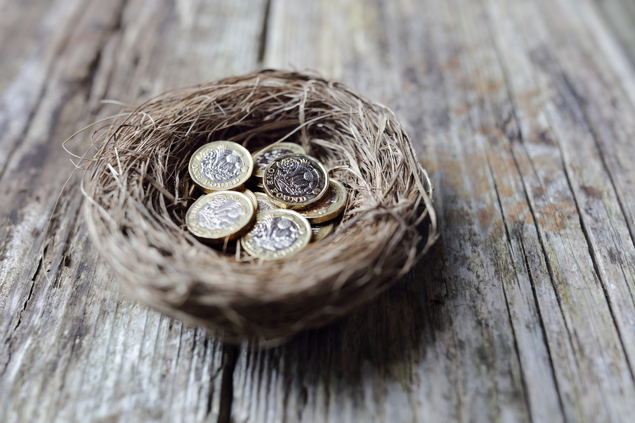 nest