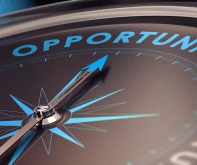 Constitution Capital Partners has appointed Rich Schainker as managing director to help expand its defined contribution (DC) capabilities following the launch of its Horizon collective investment trust.
